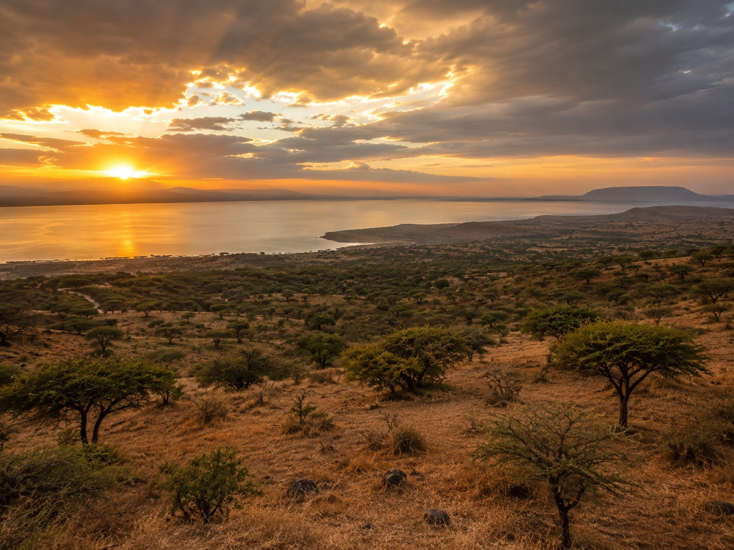 Abijatta-Shalla National Park, Ethiopia: Lakes & Birdwatching Guide