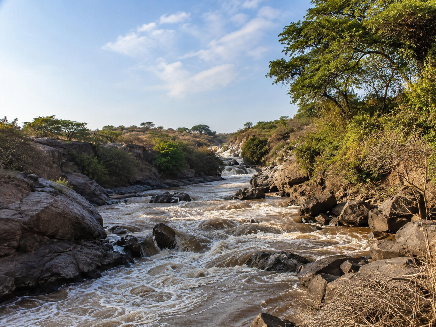 Awash National Park, Ethiopia: Wildlife, Awash Falls & Travel Guide