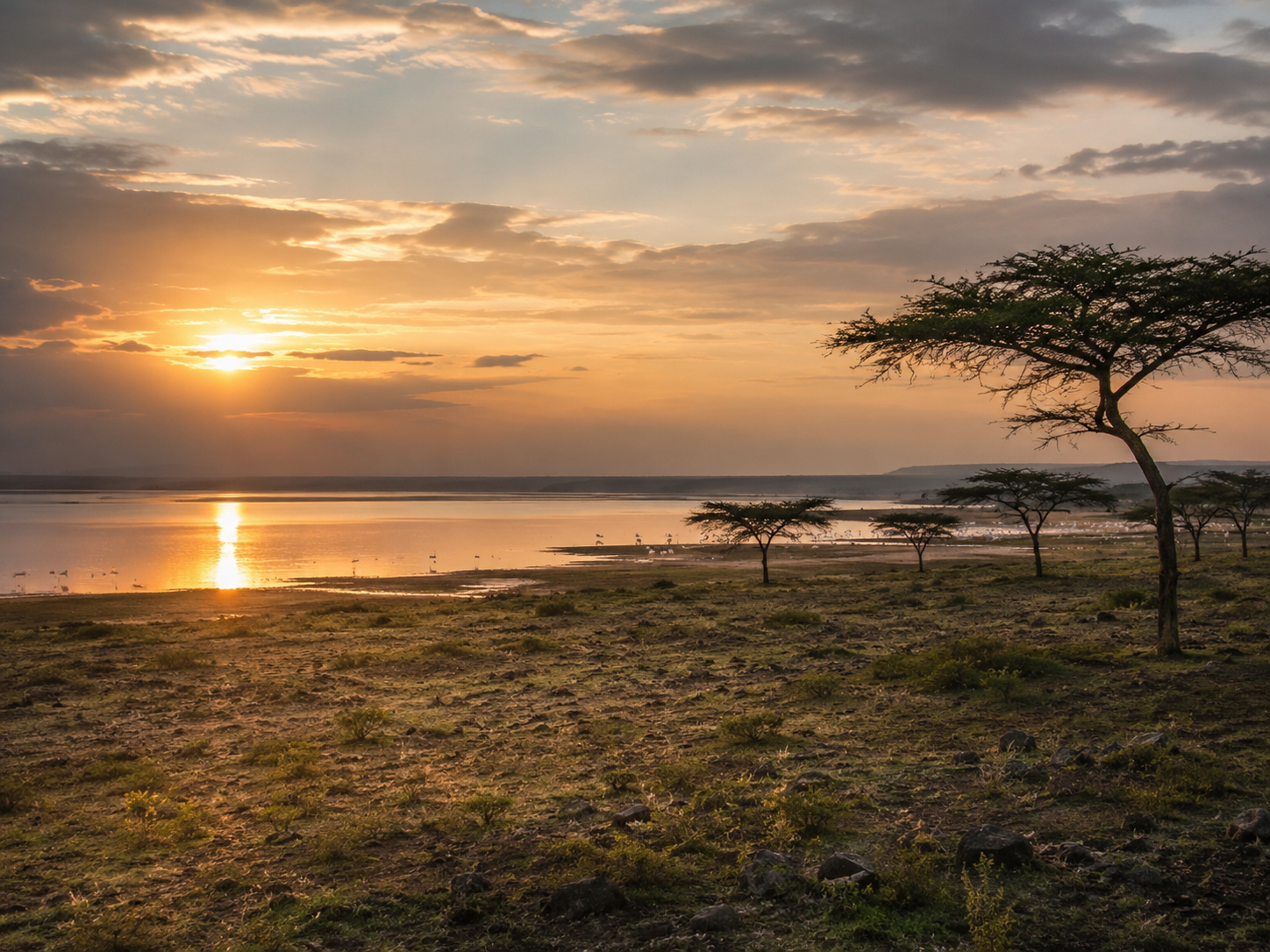 Abijatta-Shalla National Park, Ethiopia: Lakes & Birdwatching Guide