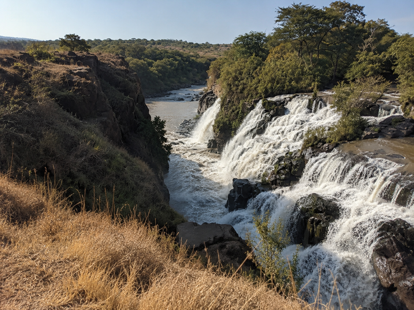 Awash National Park, Ethiopia: Wildlife, Awash Falls & Travel Guide