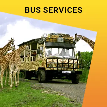 Bus Services (1)