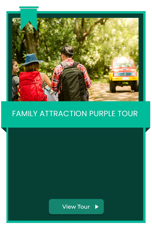 Family-Attraction-PURPLE-Tour