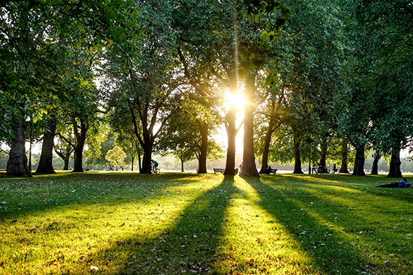 Hyde-Park-2-2.webp