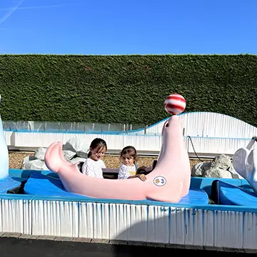 Image1.webp