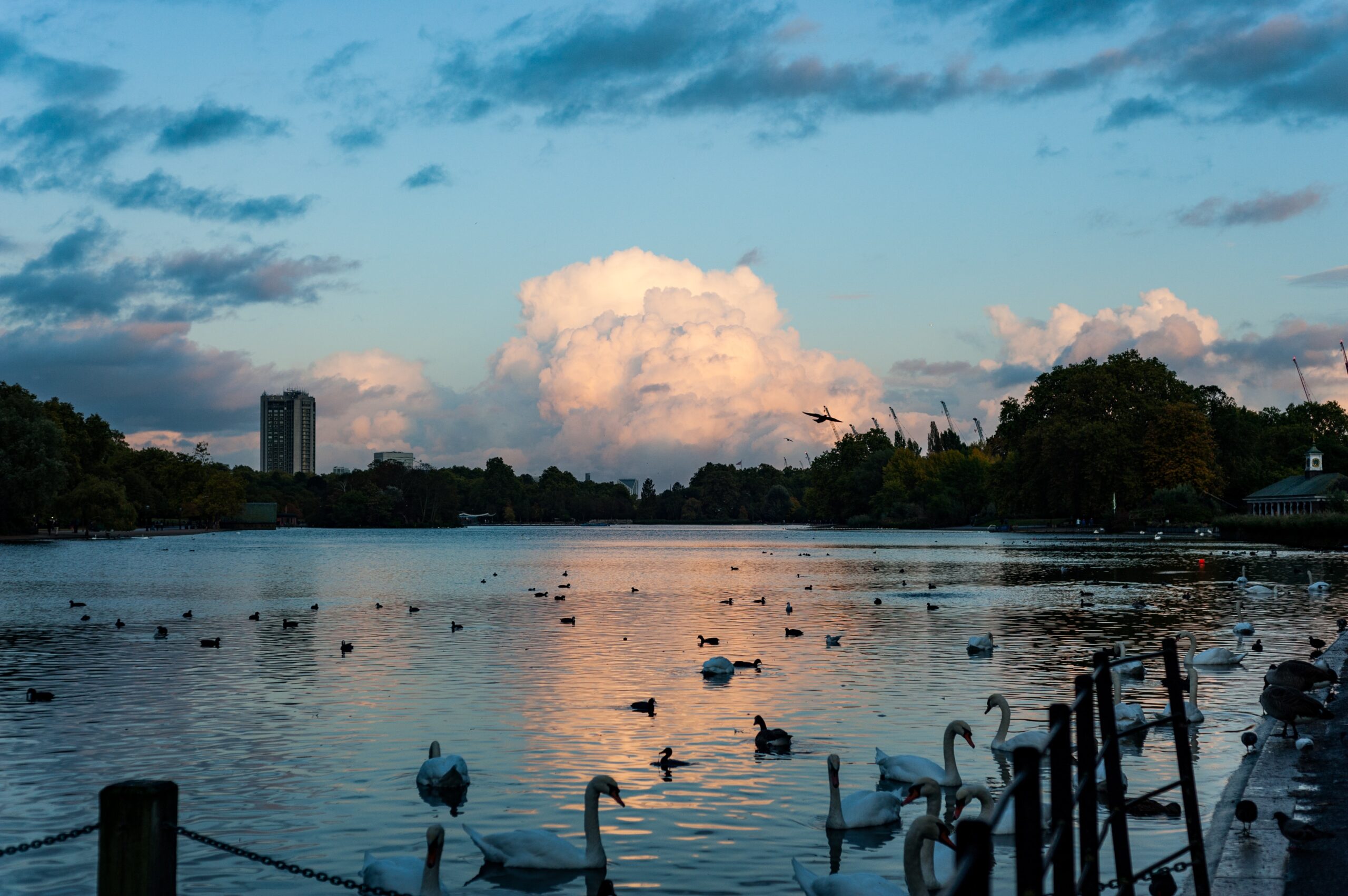 London by Night - Image 2