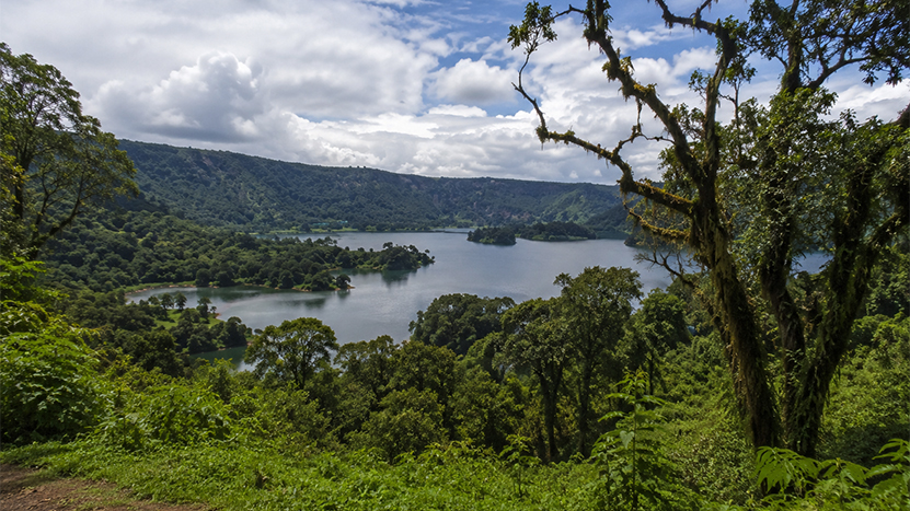 Suba Menagesha Forest Reserve