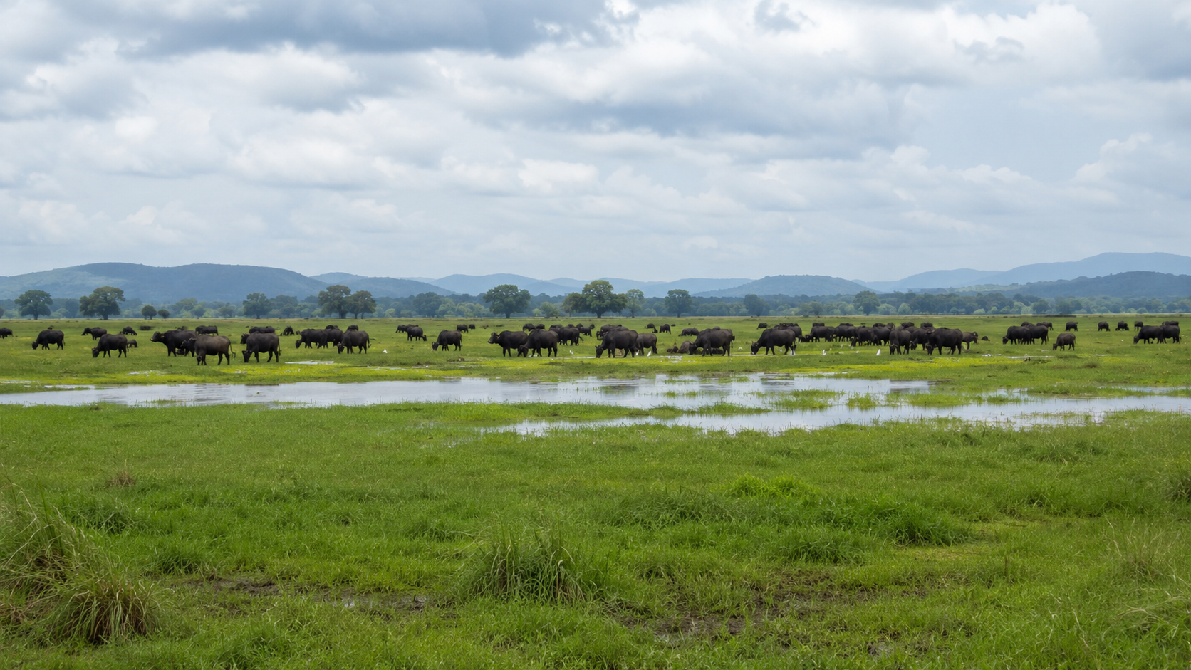 Dhati Walal National Park